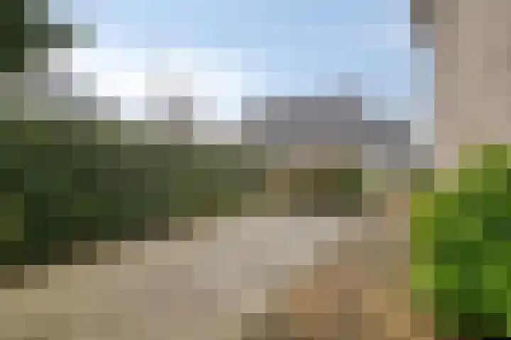 Griendwerker 11 Poortugaal thumbnail 35