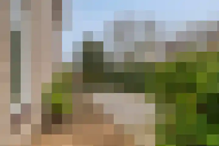 Griendwerker 11 Poortugaal thumbnail 36