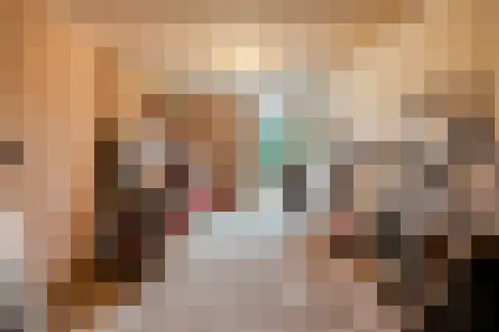 Griendwerker 11 Poortugaal thumbnail 38