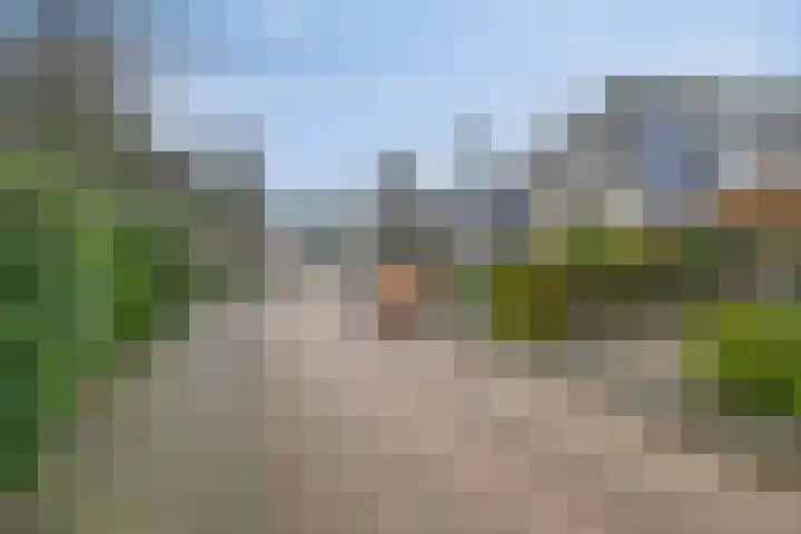 Griendwerker 11 Poortugaal thumbnail 39