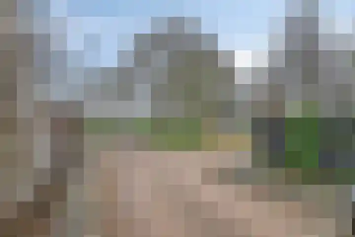 Griendwerker 11 Poortugaal thumbnail 40