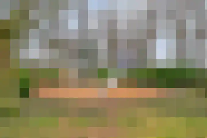 Griendwerker 11 Poortugaal thumbnail 41