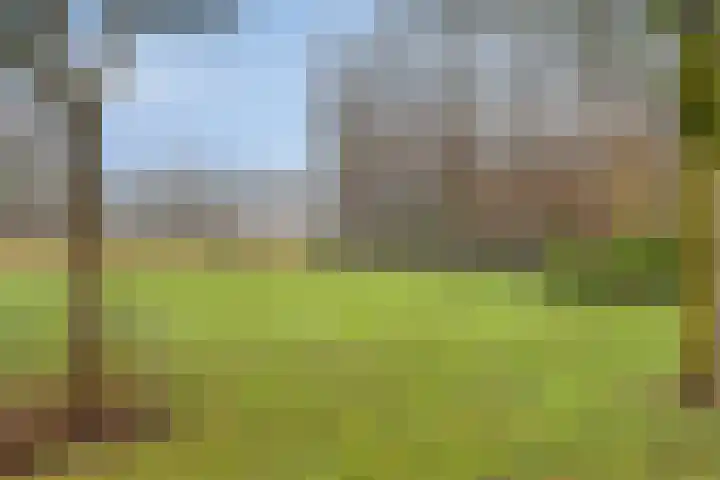 Griendwerker 11 Poortugaal thumbnail 42