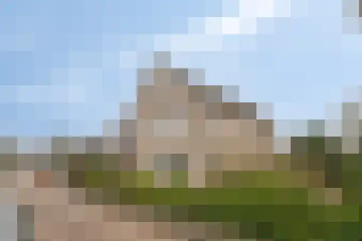 Griendwerker 11 Poortugaal thumbnail 45
