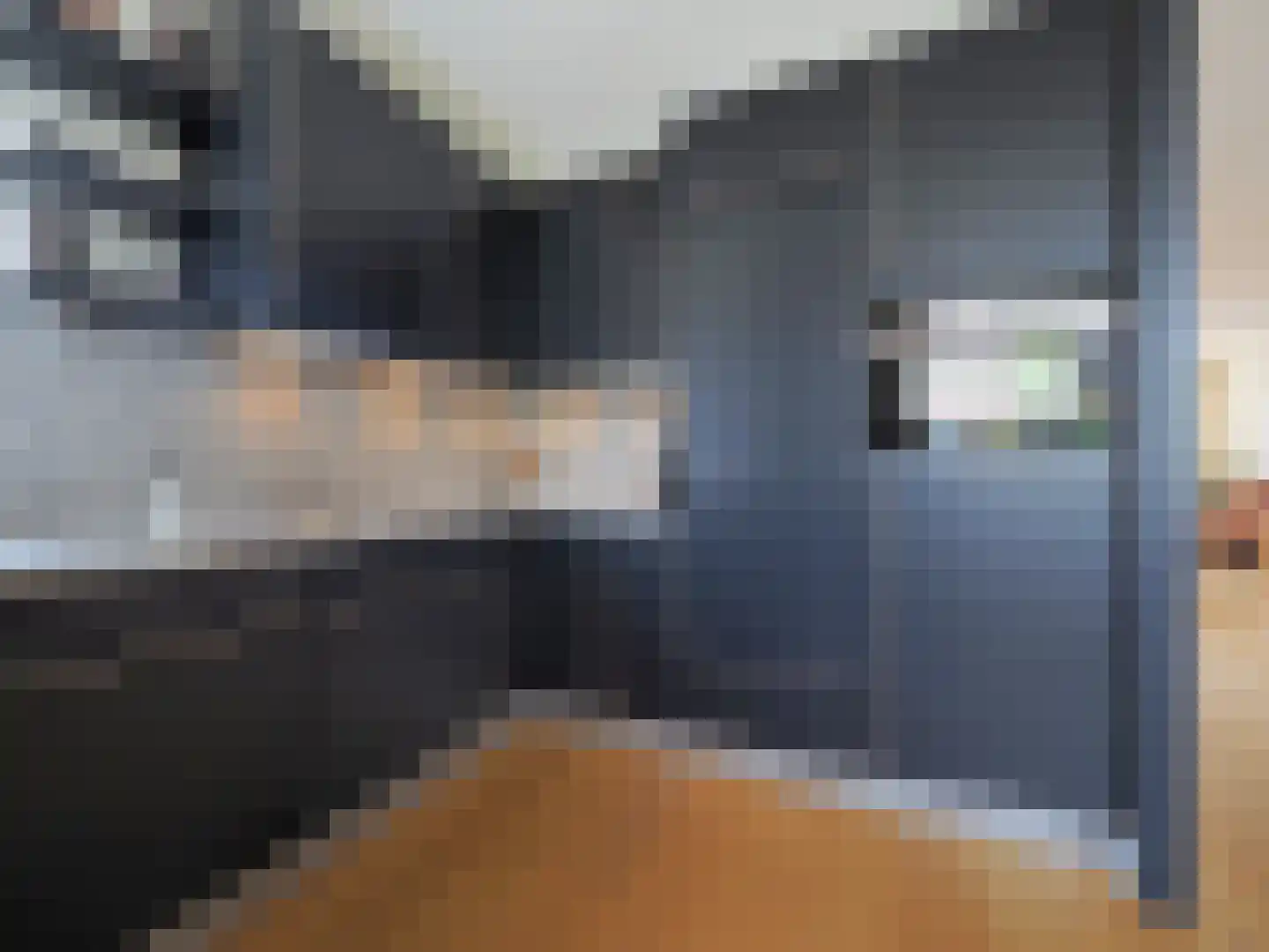 Griendwerker 22 Papendrecht thumbnail 28