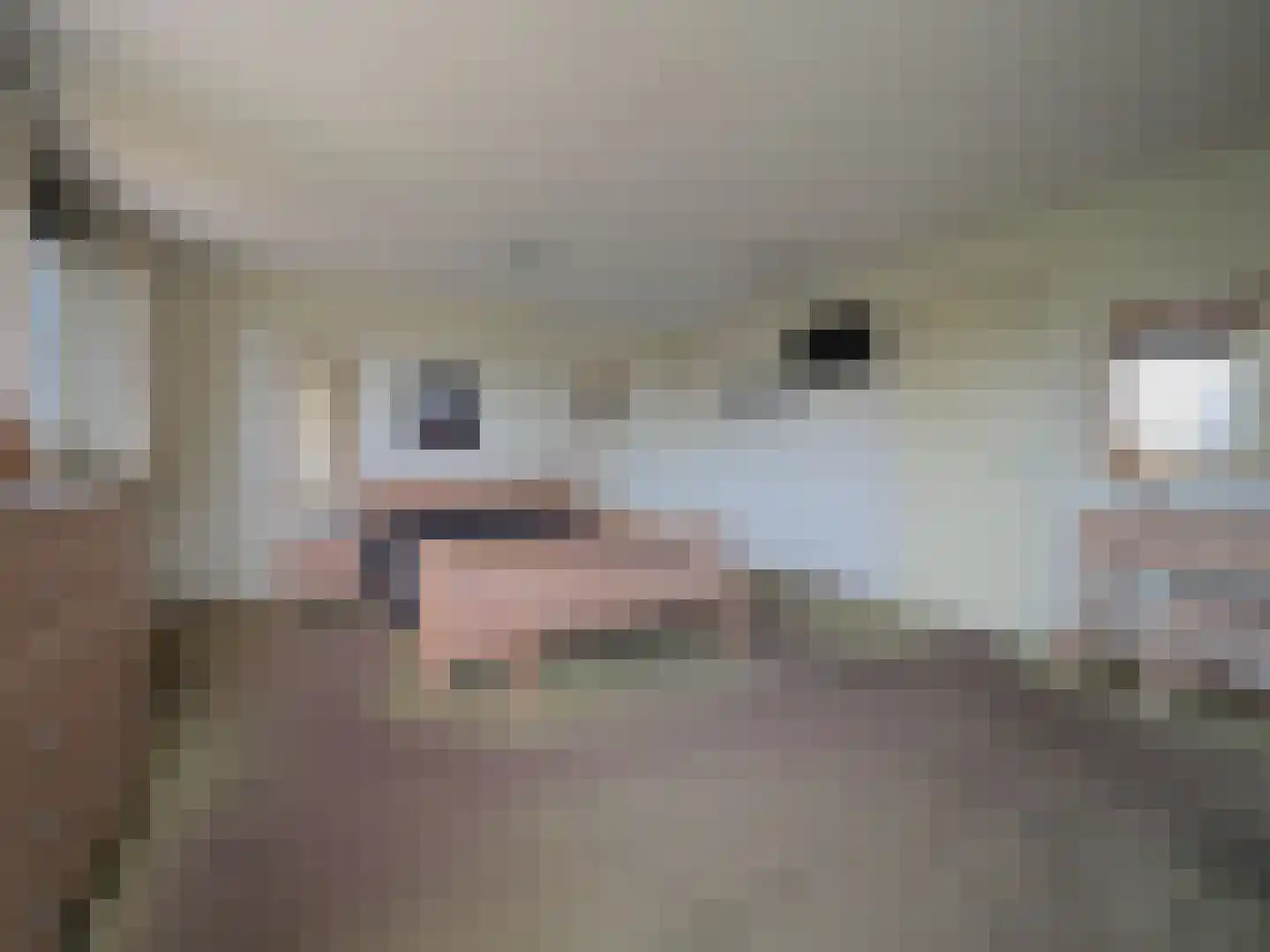 Griendwerker 22 Papendrecht thumbnail 31