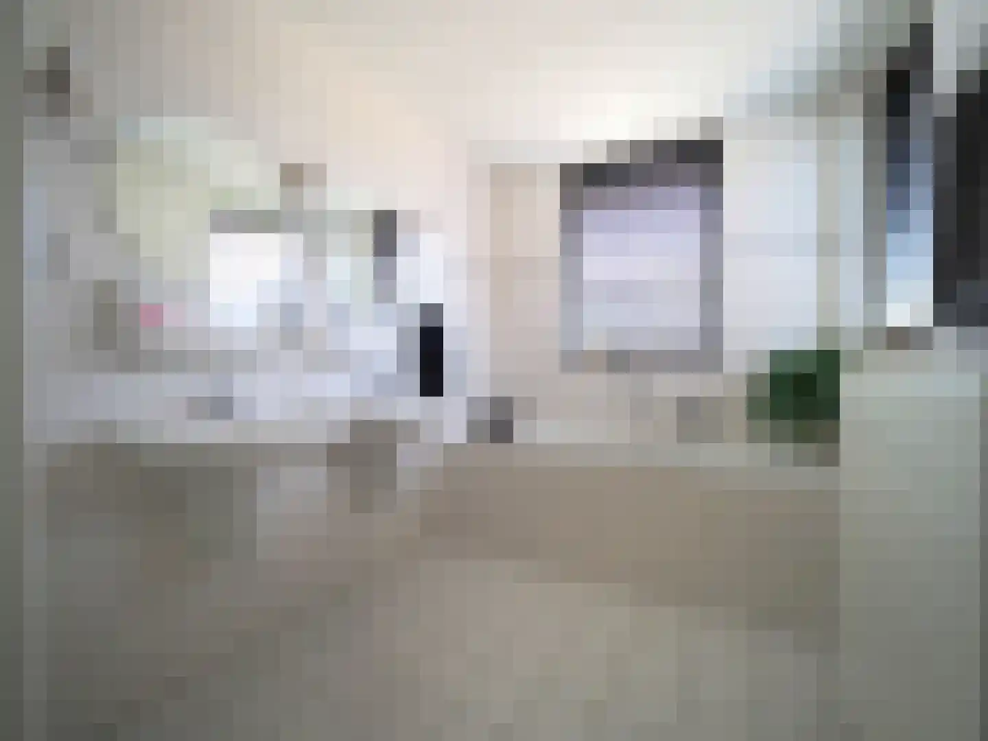 Griendwerker 22 Papendrecht thumbnail 37