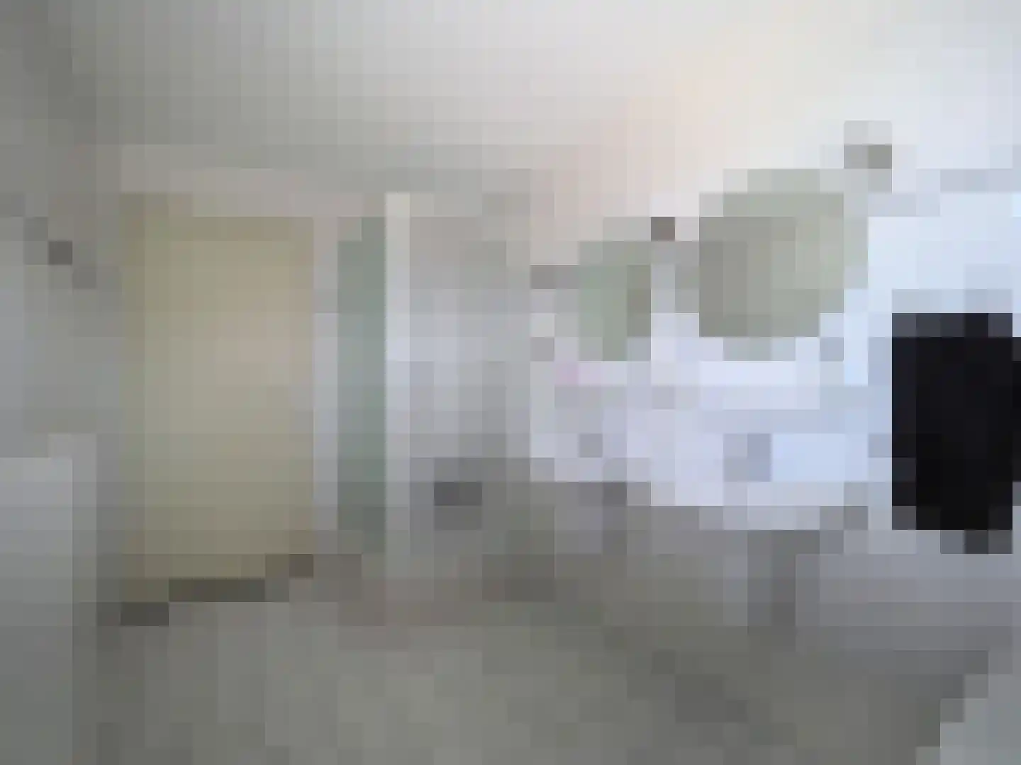 Griendwerker 22 Papendrecht thumbnail 39