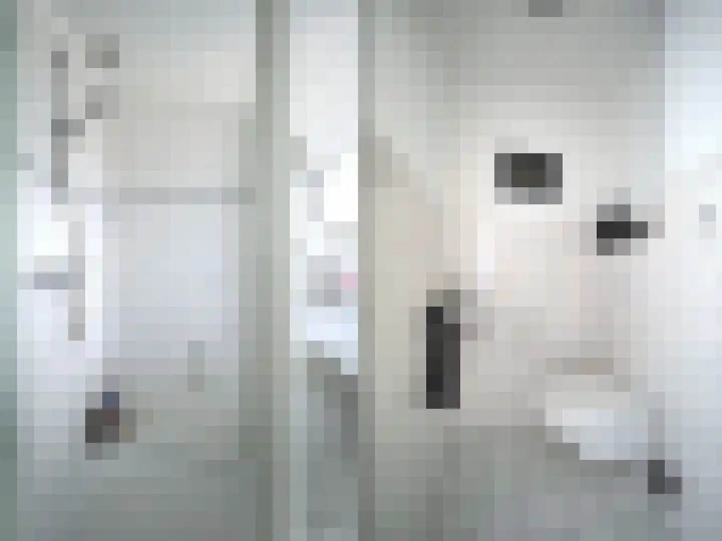 Griendwerker 22 Papendrecht thumbnail 40
