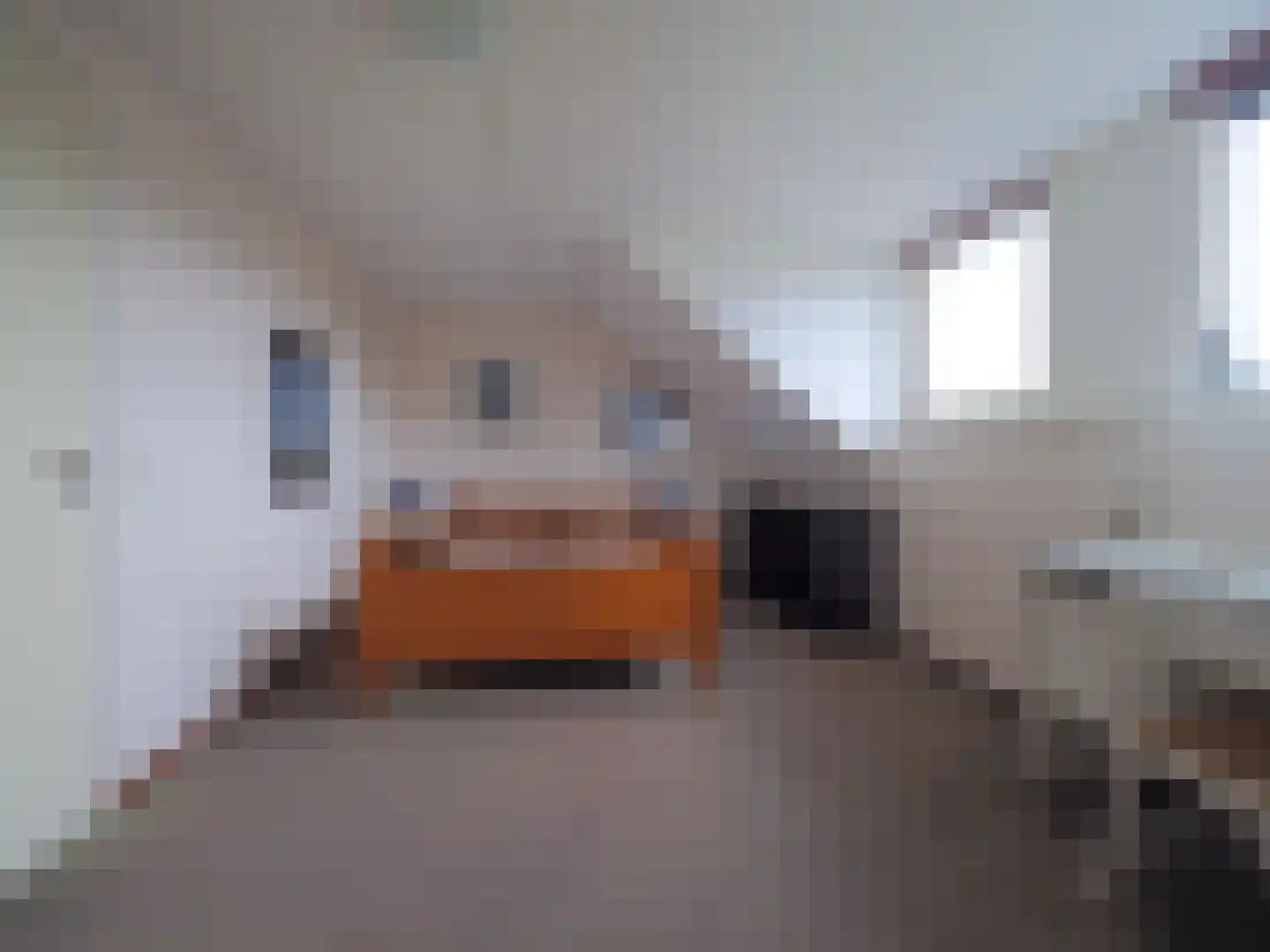 Griendwerker 22 Papendrecht thumbnail 43