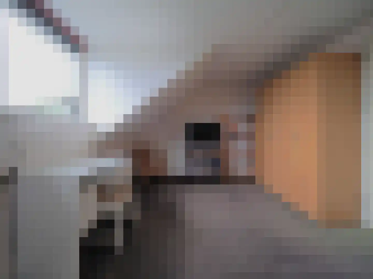 Griendwerker 22 Papendrecht thumbnail 44