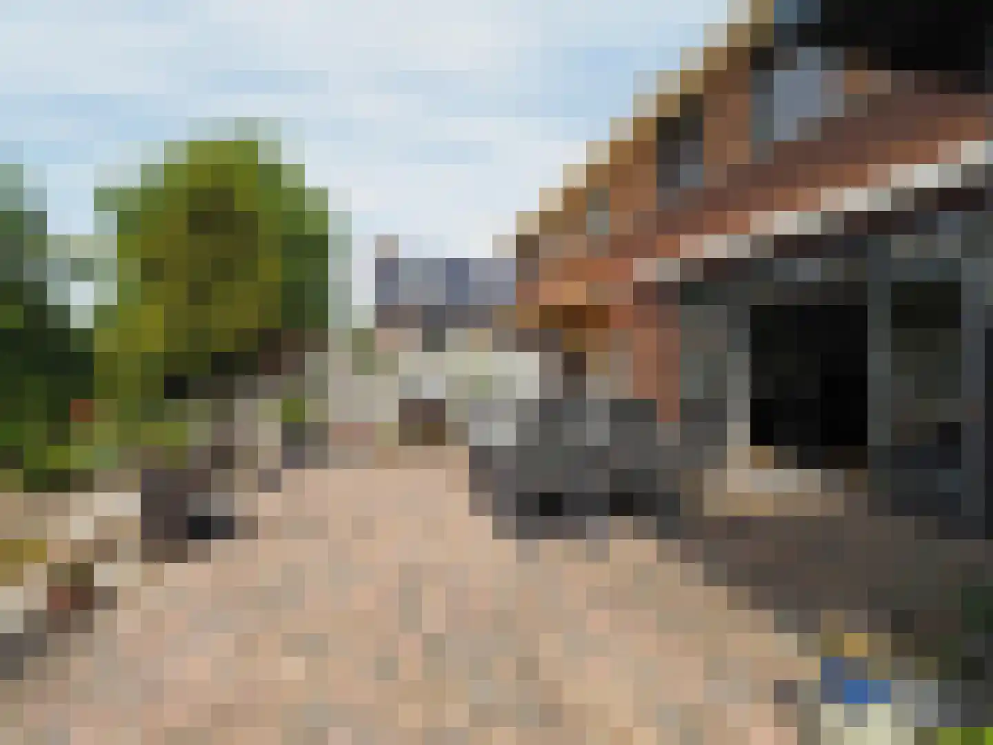 Griendwerker 22 Papendrecht thumbnail 51
