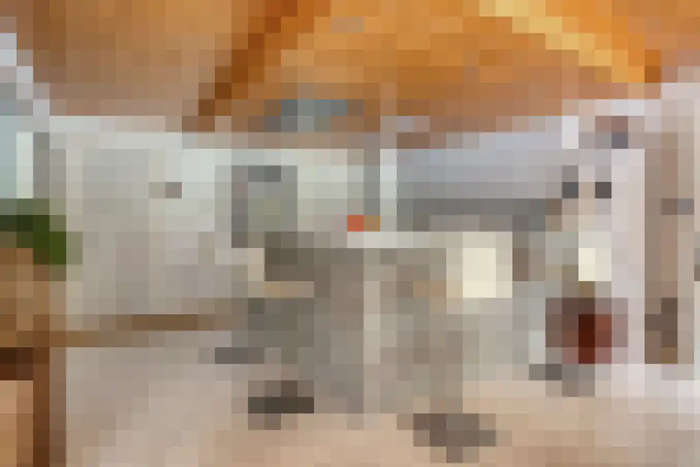 Griendwerker 26 Oud-Beijerland thumbnail 16