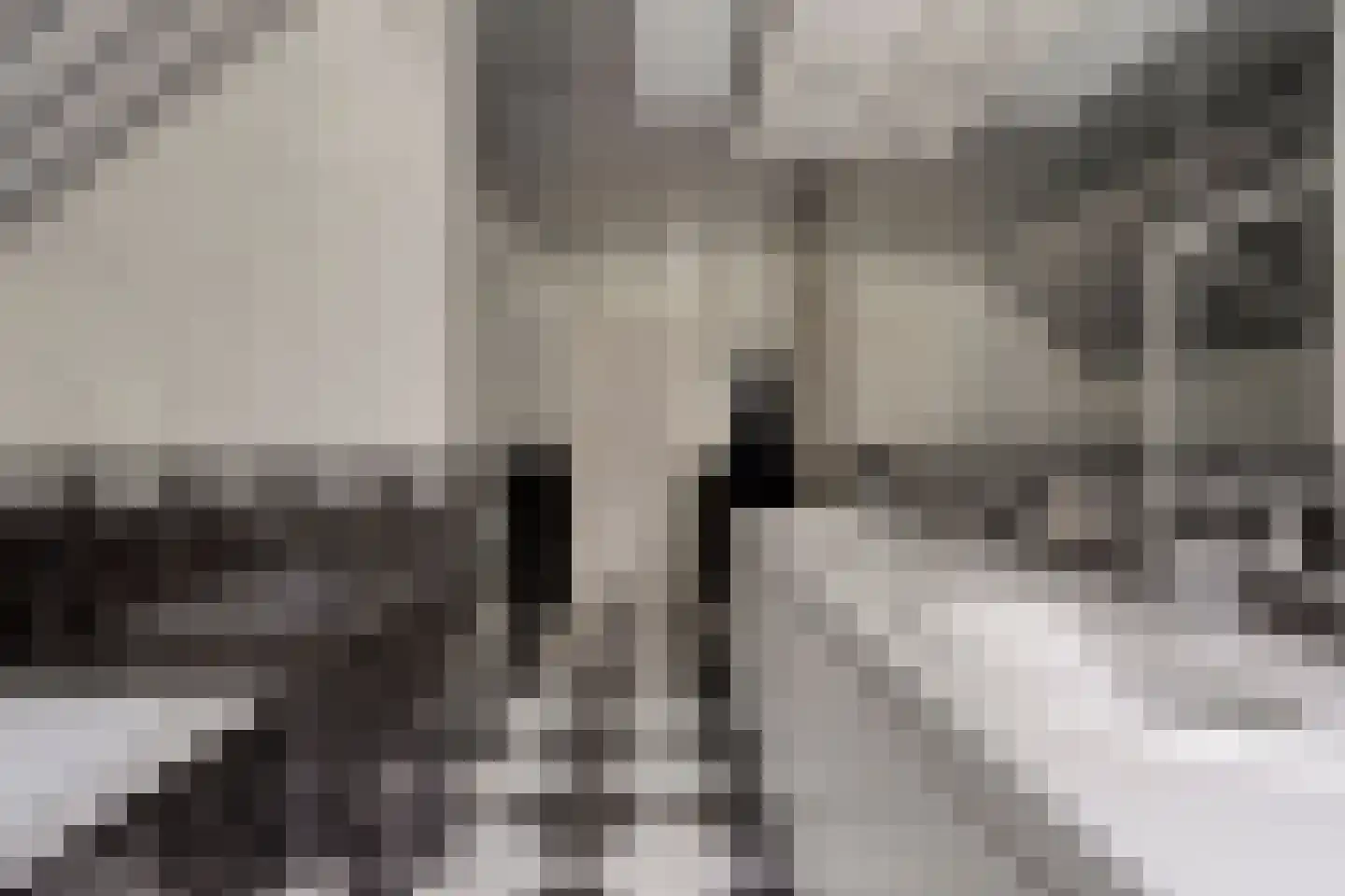 Griendwerker 26 Oud-Beijerland thumbnail 35