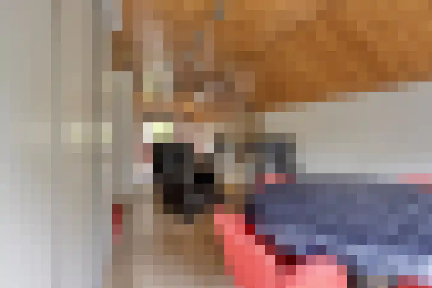 Griendwerker 26 Oud-Beijerland thumbnail 37