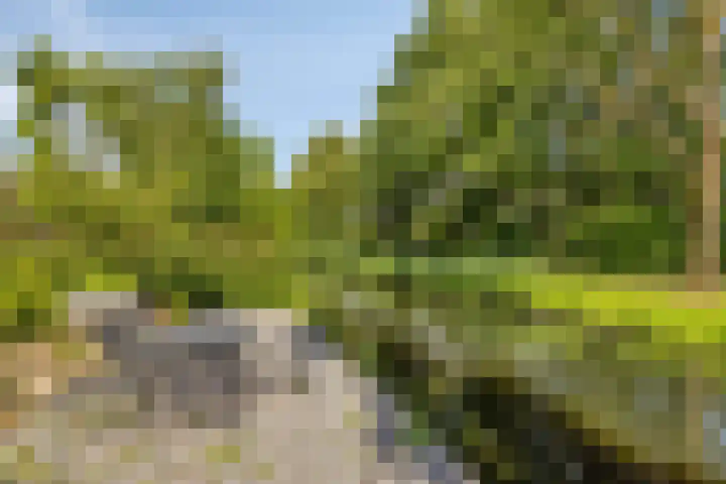Griendwerker 26 Oud-Beijerland thumbnail 4