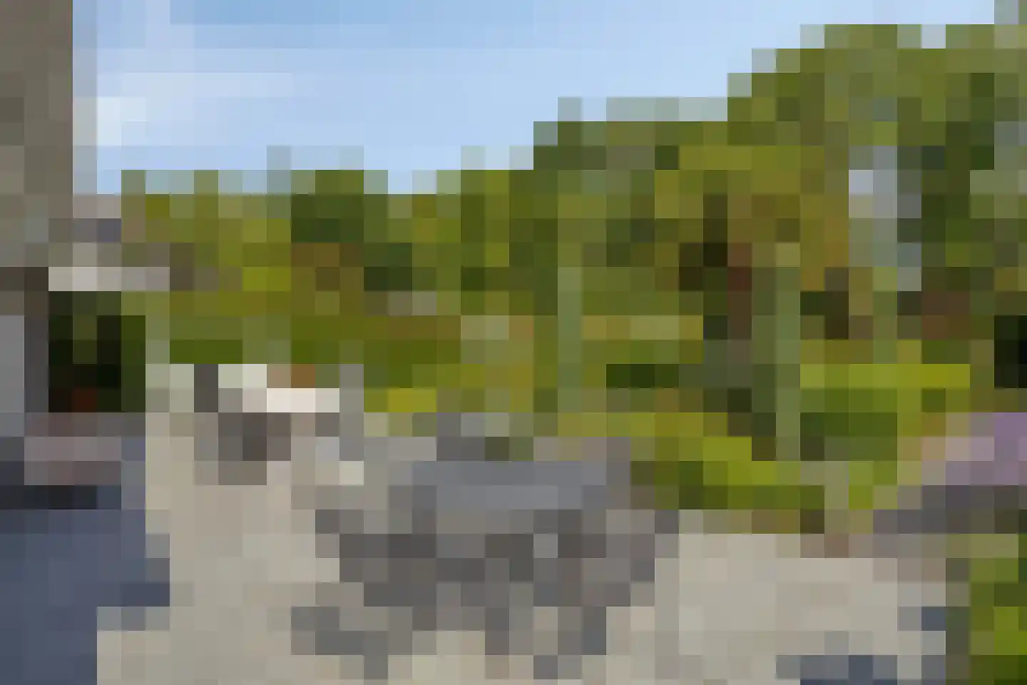 Griendwerker 26 Oud-Beijerland thumbnail 45