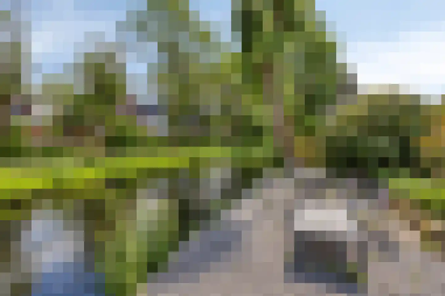 Griendwerker 26 Oud-Beijerland thumbnail 48