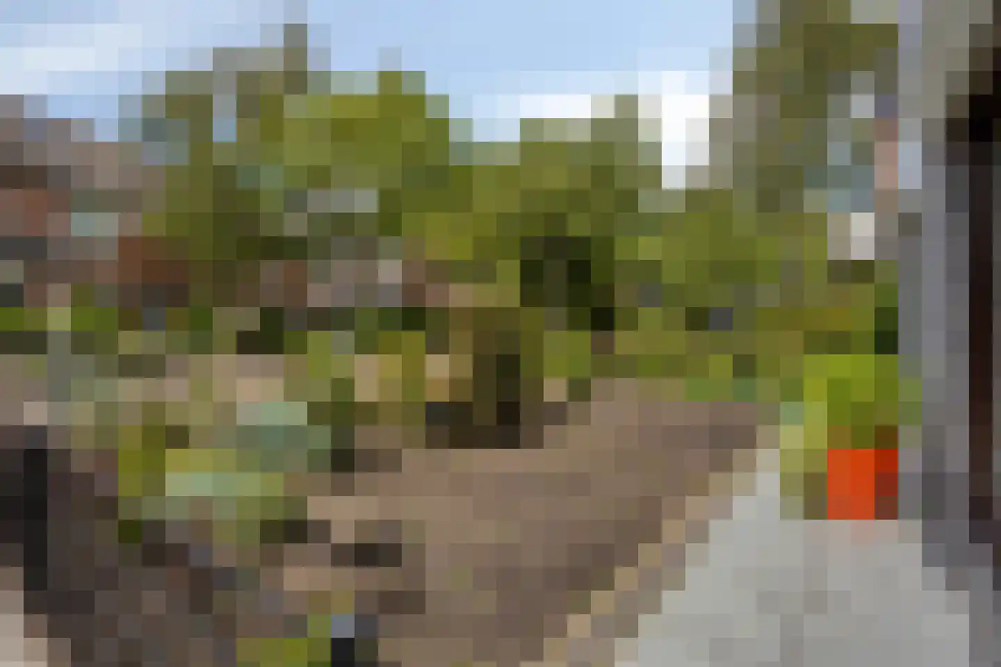 Griendwerker 26 Oud-Beijerland thumbnail 6