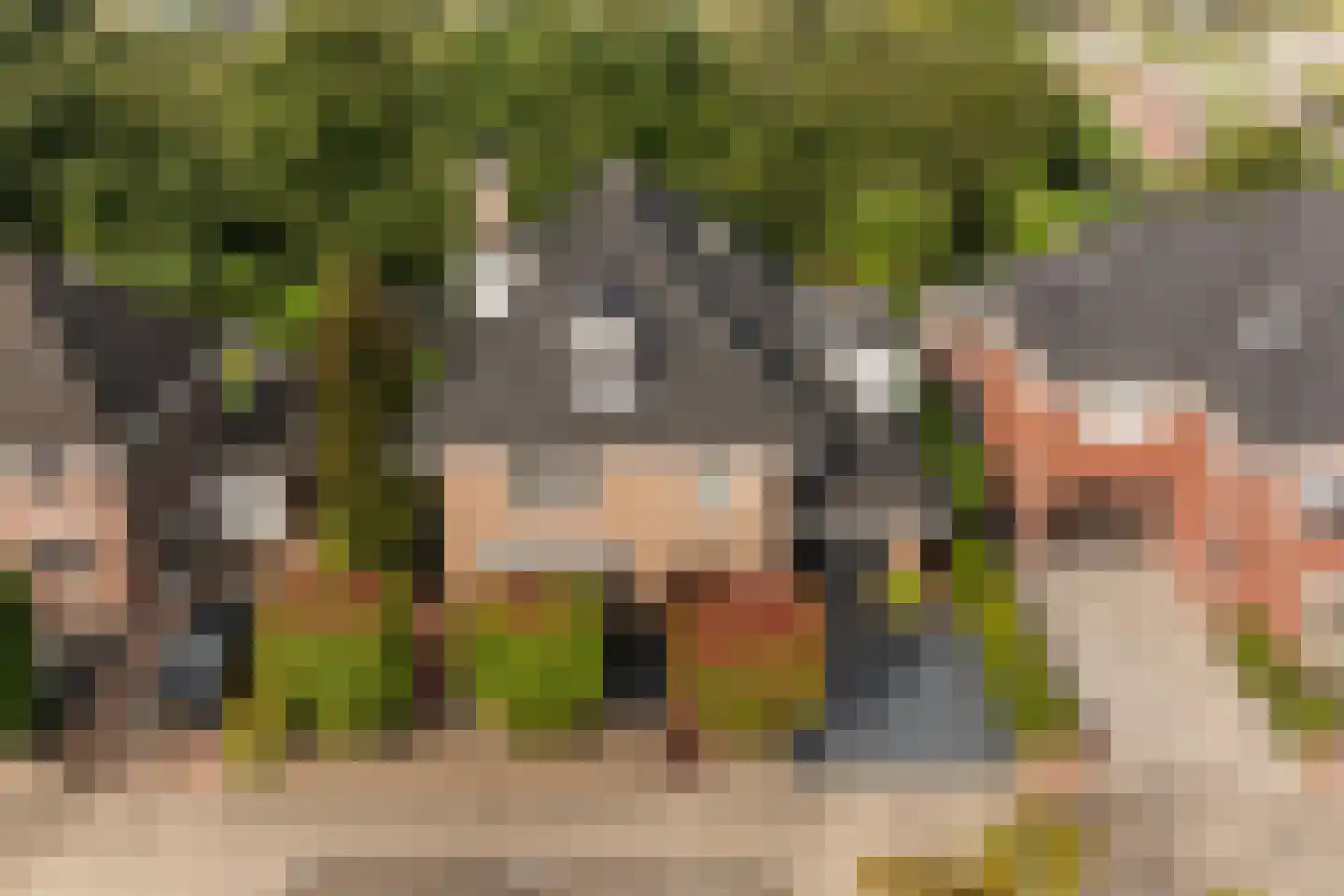 Griendwerker 3 Papendrecht thumbnail 12
