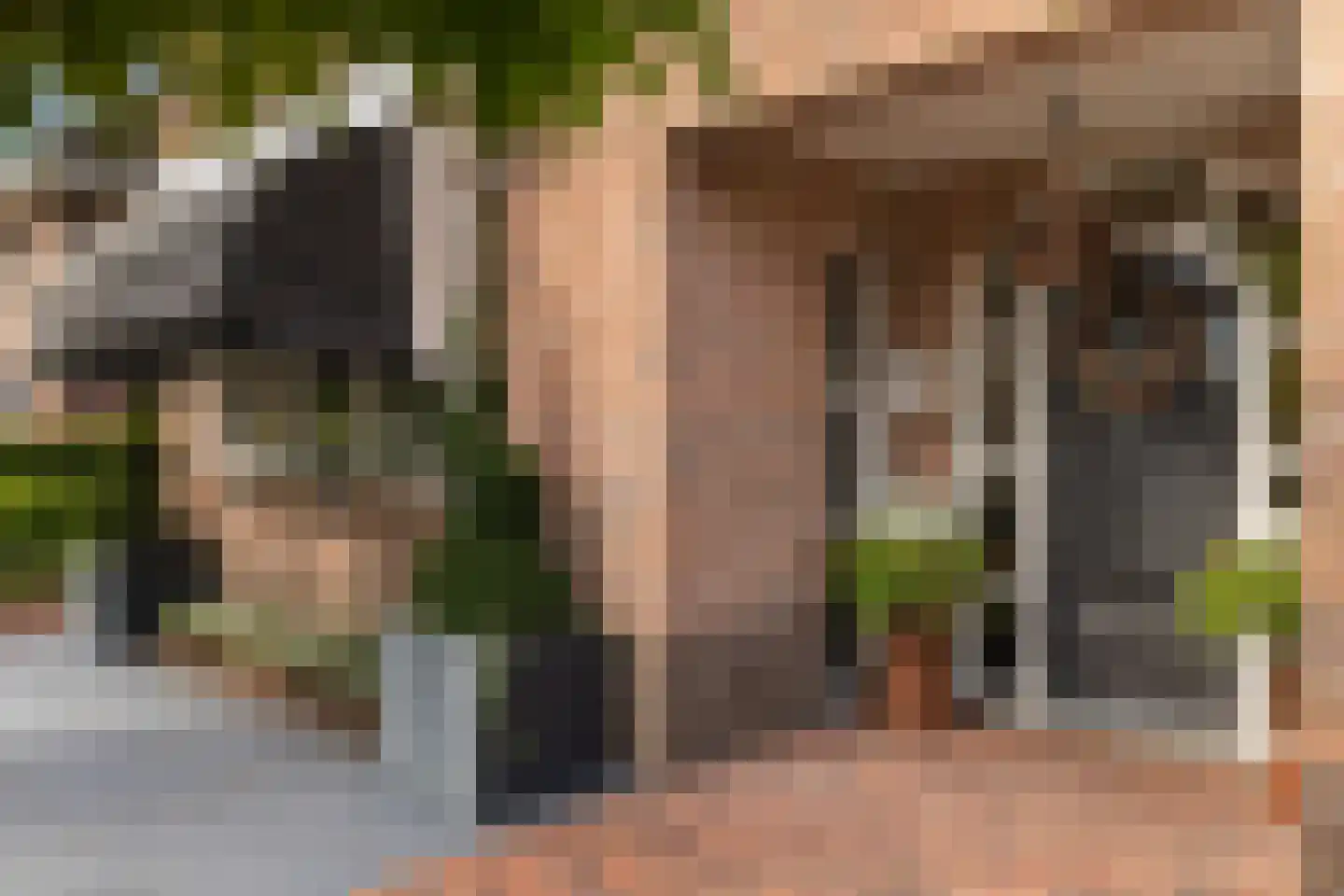 Griendwerker 3 Papendrecht thumbnail 17