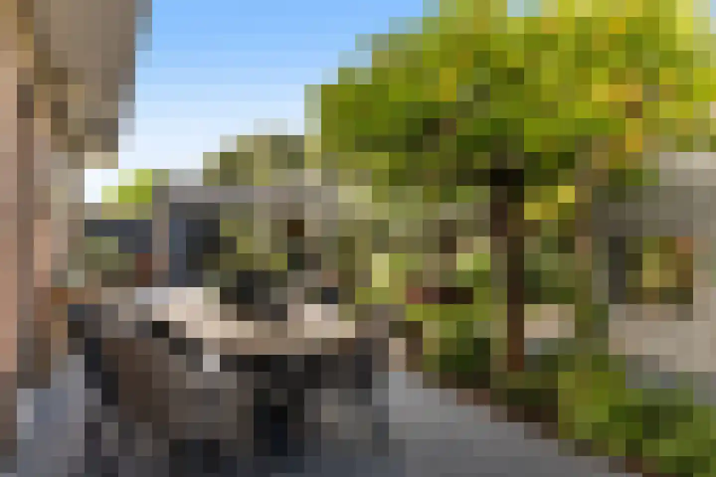 Griendwerker 3 Papendrecht thumbnail 27