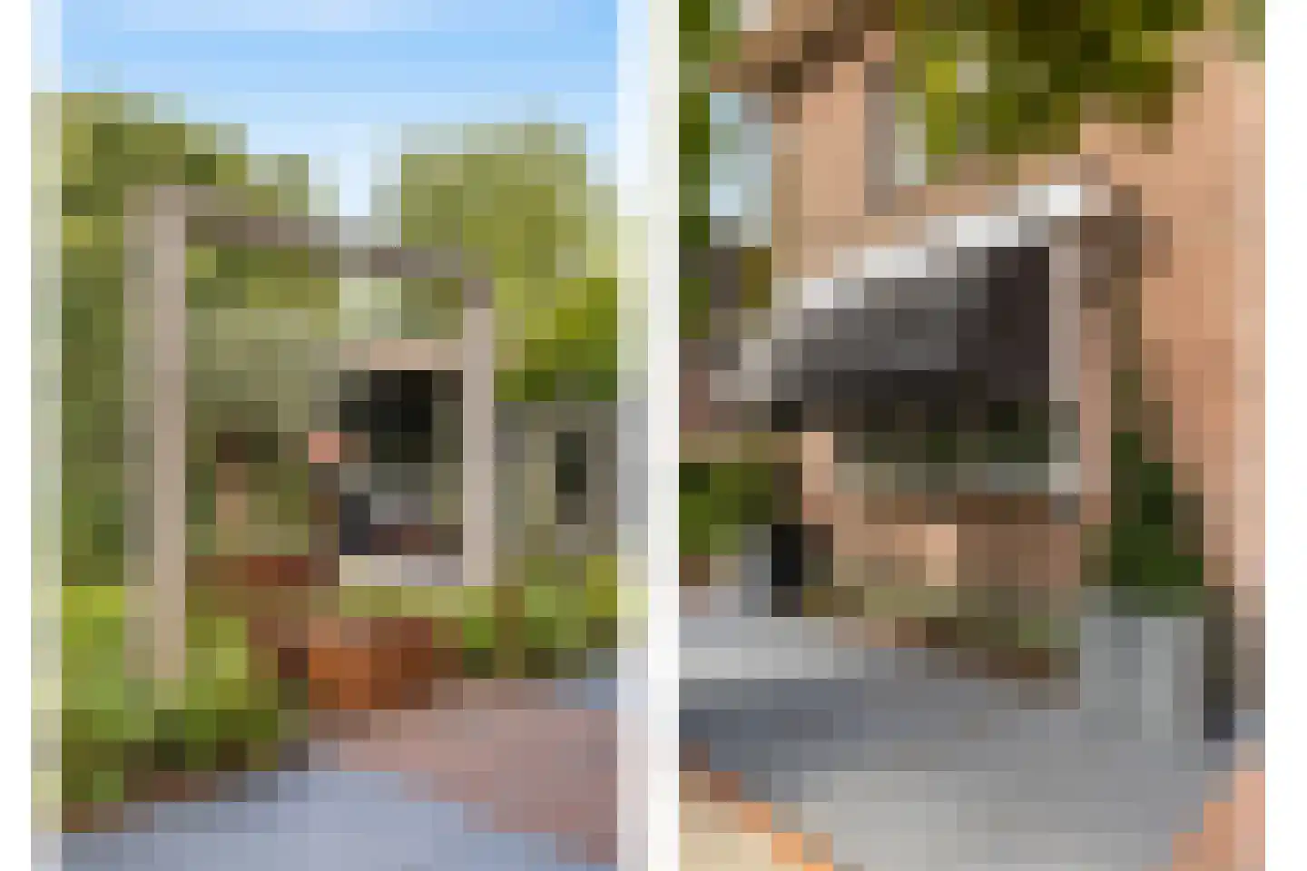 Griendwerker 3 Papendrecht thumbnail 29