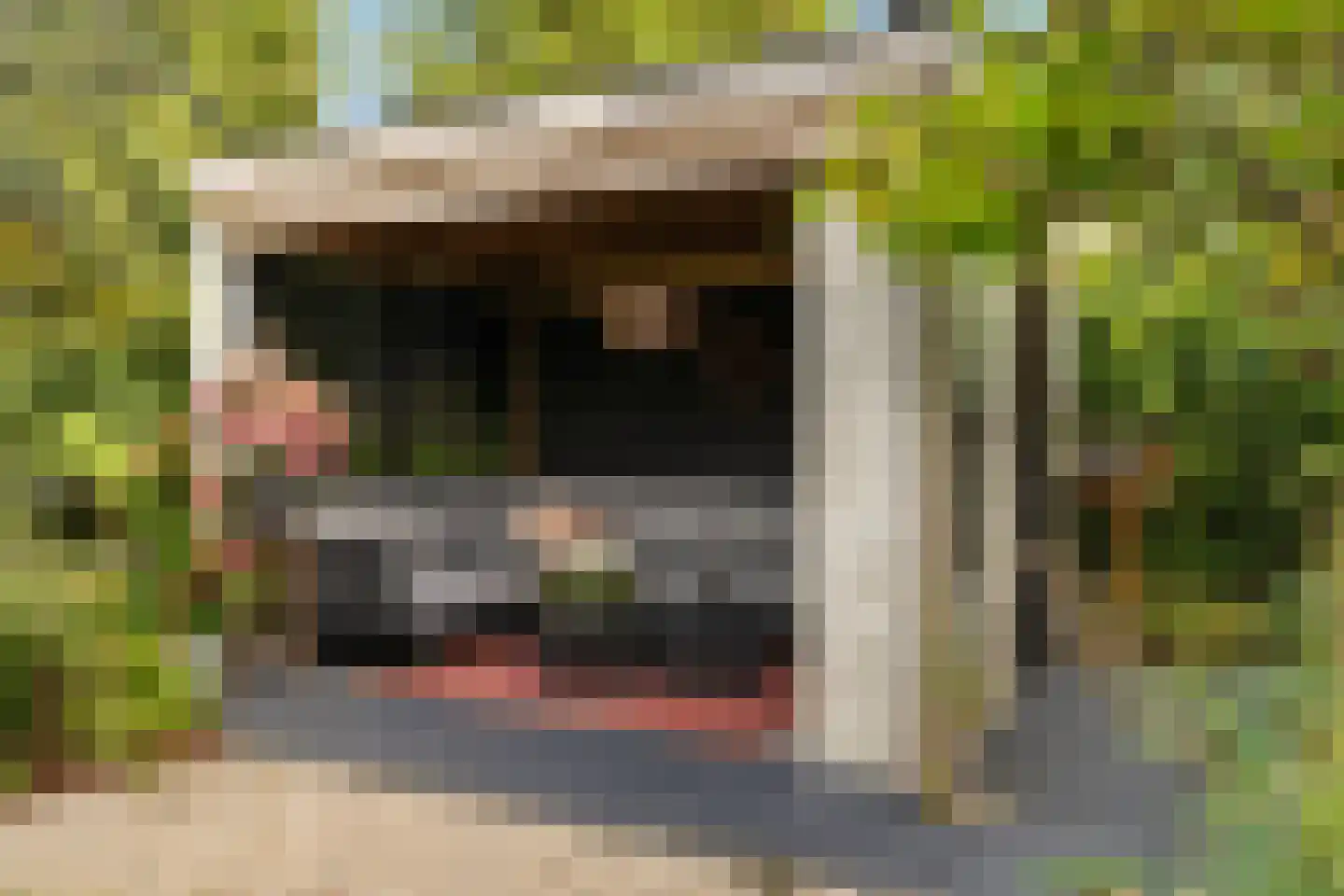 Griendwerker 3 Papendrecht thumbnail 30