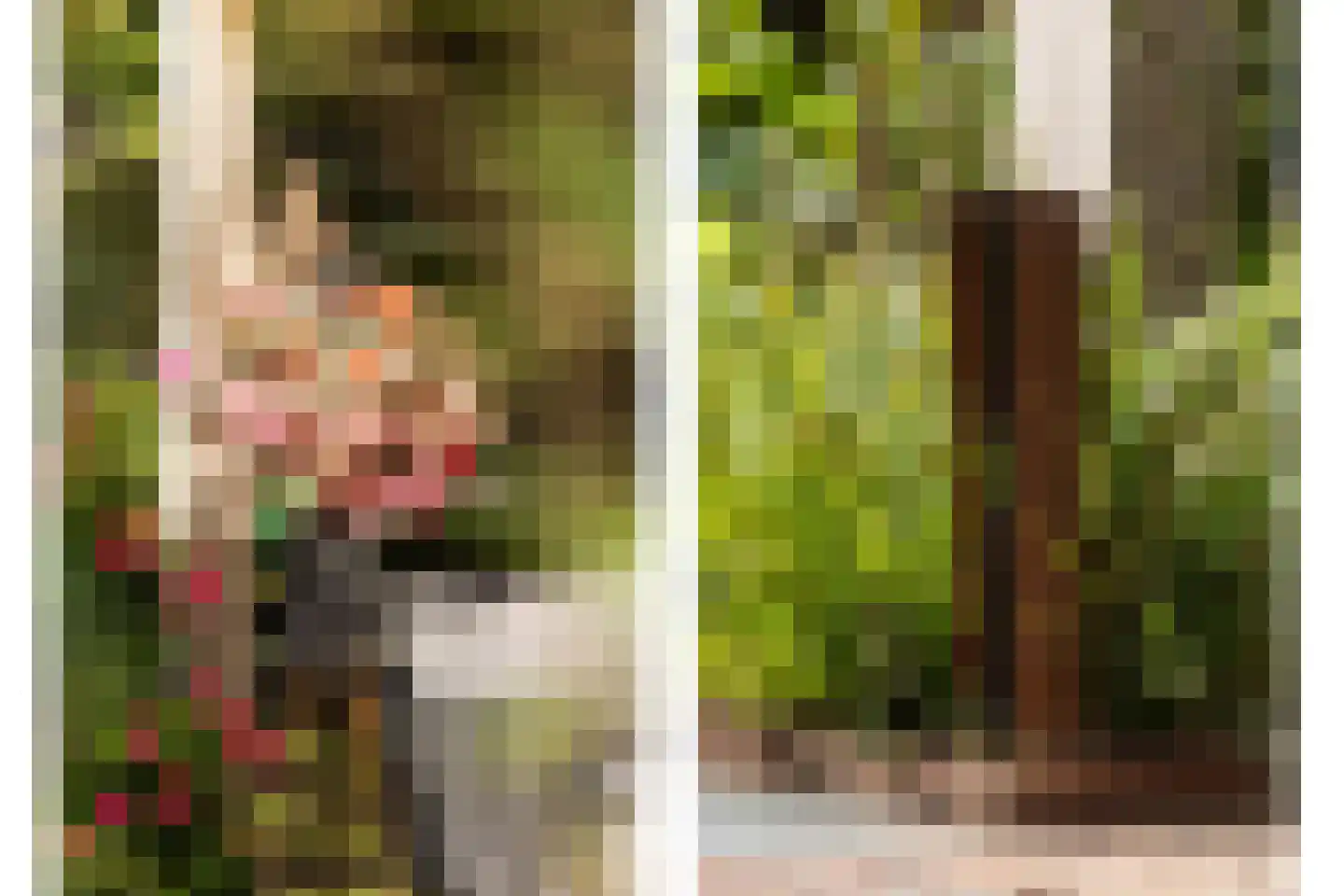 Griendwerker 3 Papendrecht thumbnail 34