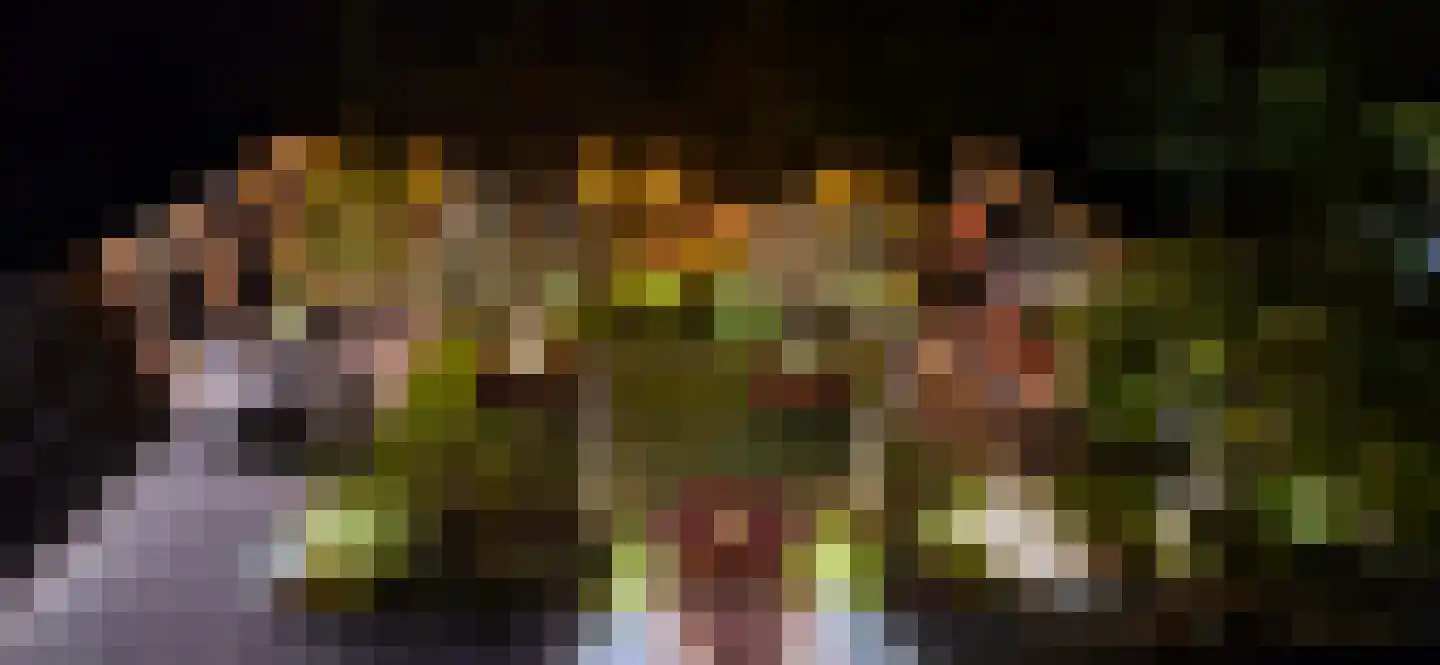 Griendwerker 3 Papendrecht thumbnail 35