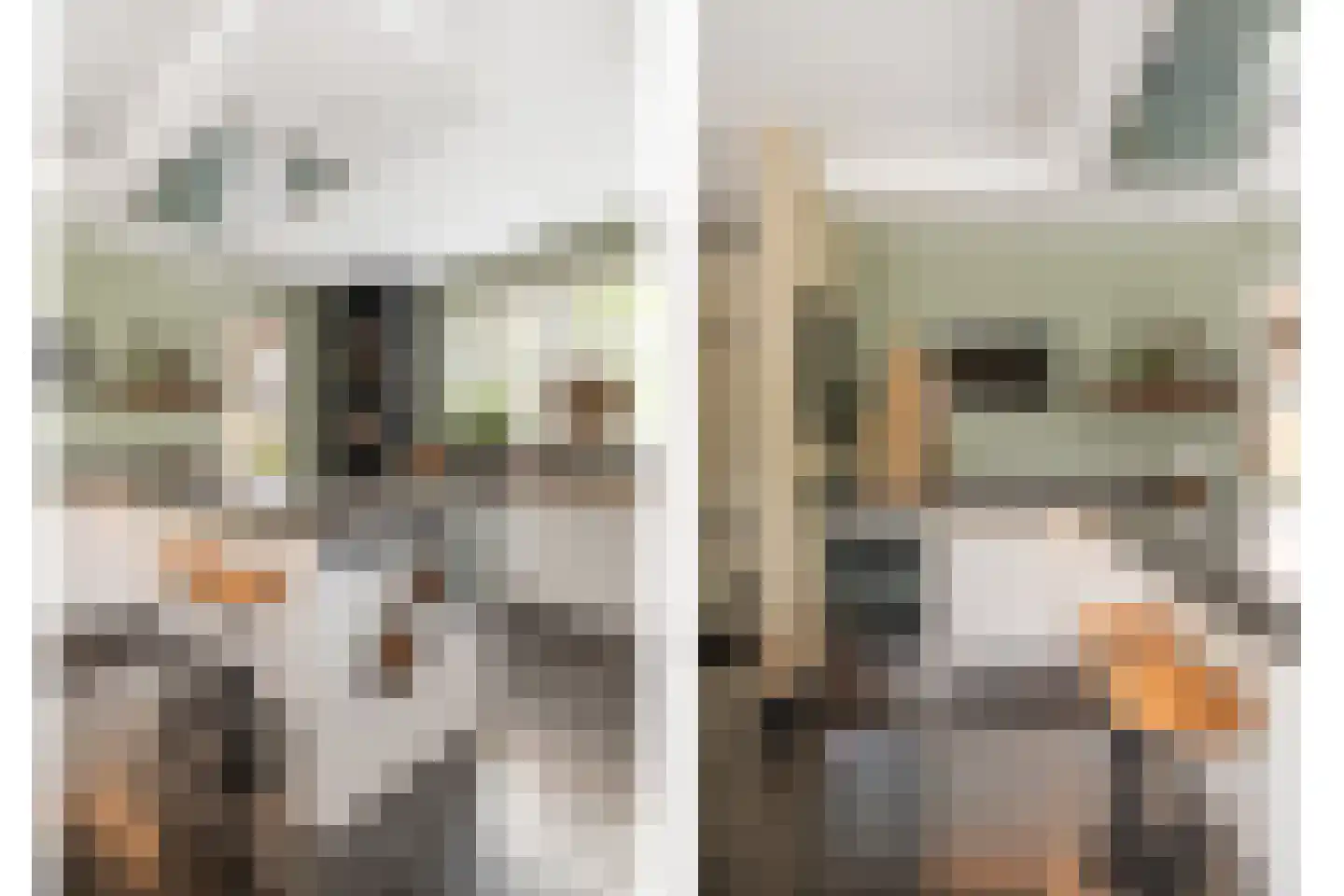 Griendwerker 3 Papendrecht thumbnail 45