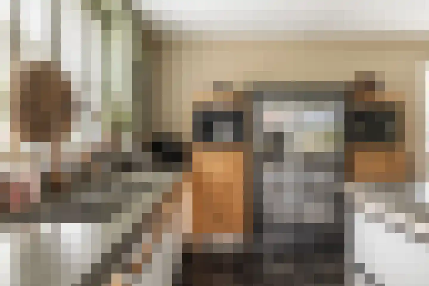 Griendwerker 3 Papendrecht thumbnail 46