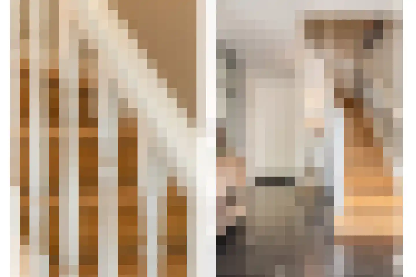 Griendwerker 3 Papendrecht thumbnail 49