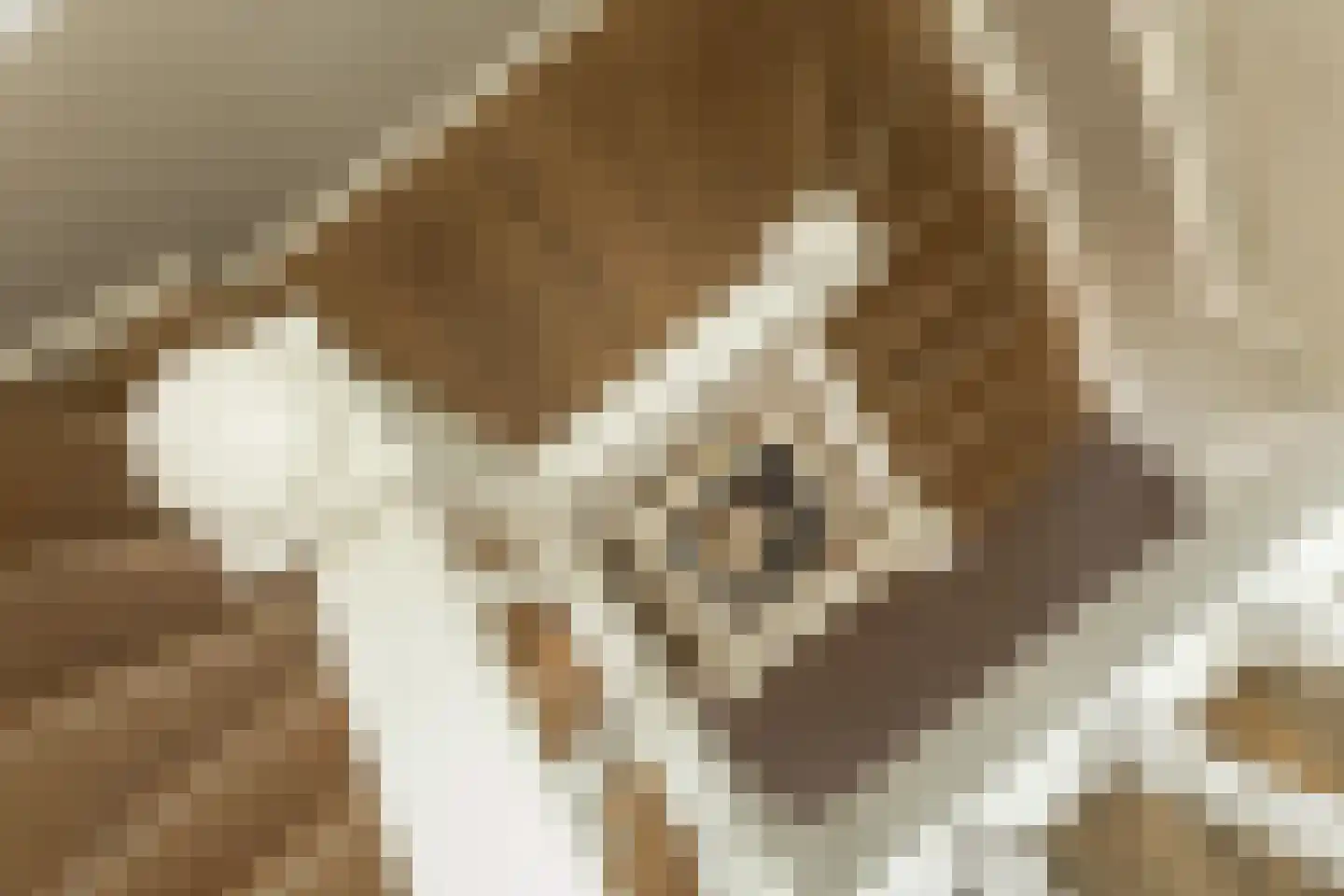 Griendwerker 3 Papendrecht thumbnail 63