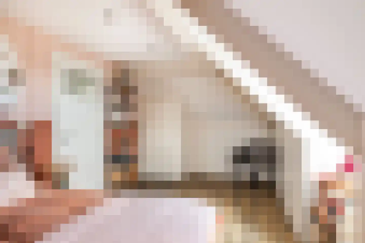 Griendwerker 3 Papendrecht thumbnail 75
