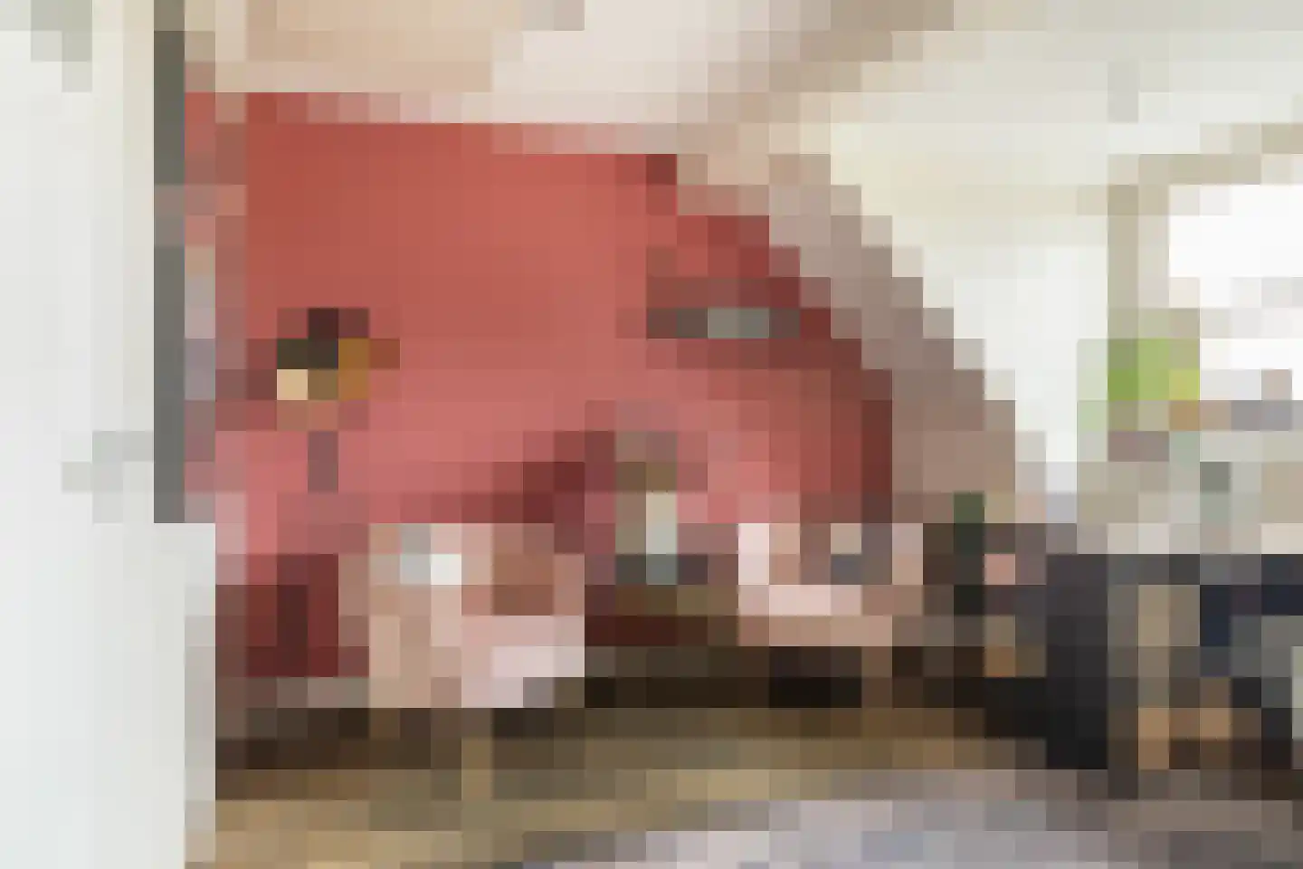 Griendwerker 3 Papendrecht thumbnail 78