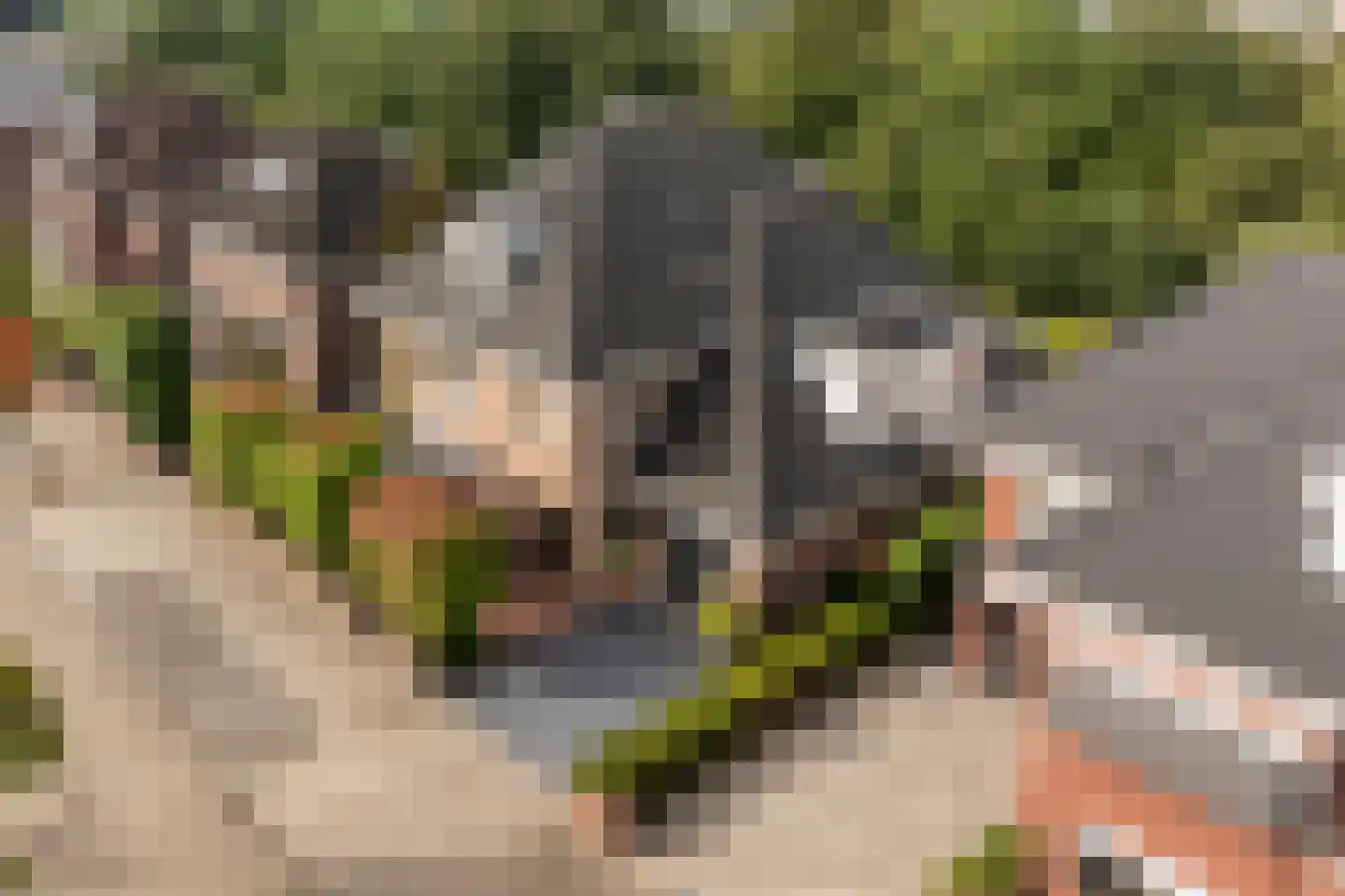 Griendwerker 3 Papendrecht thumbnail 86