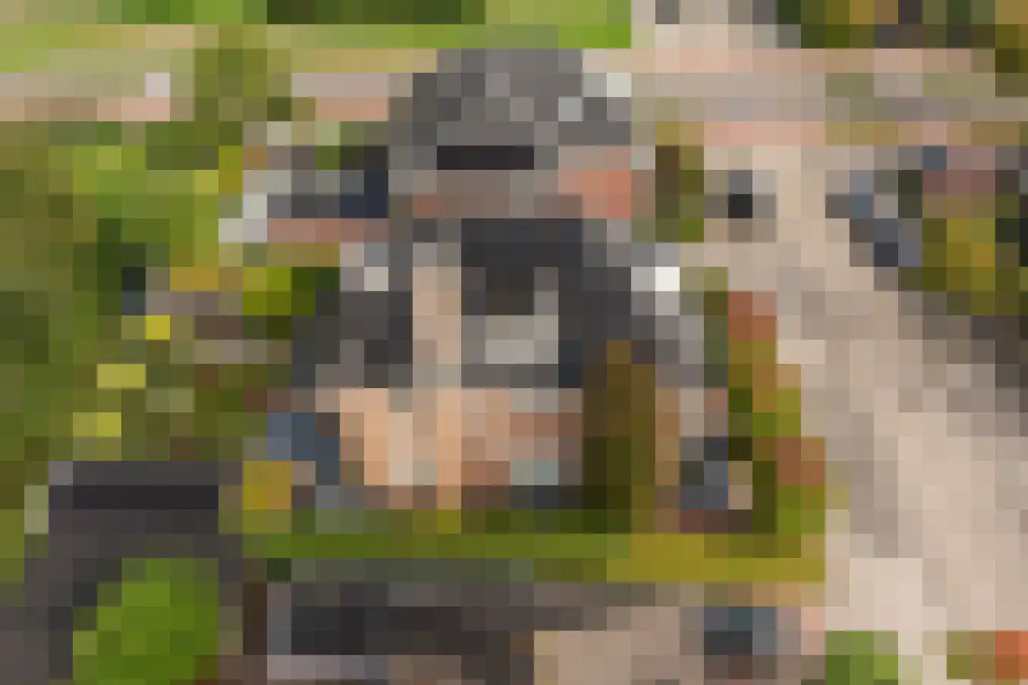 Griendwerker 3 Papendrecht thumbnail 87