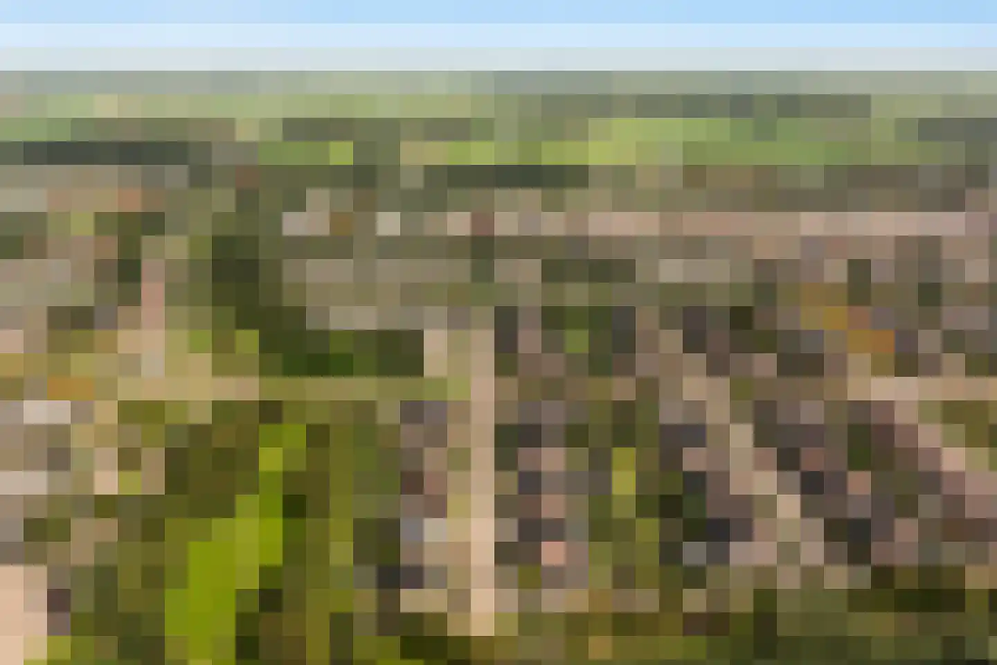 Griendwerker 3 Papendrecht thumbnail 90