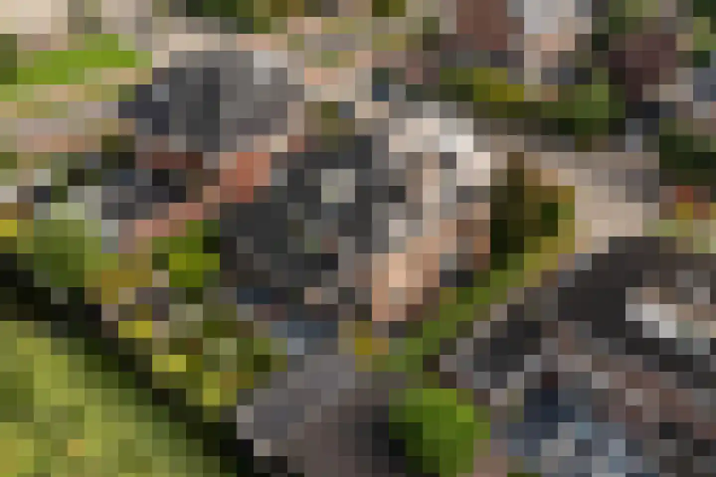 Griendwerker 3 Papendrecht thumbnail 91