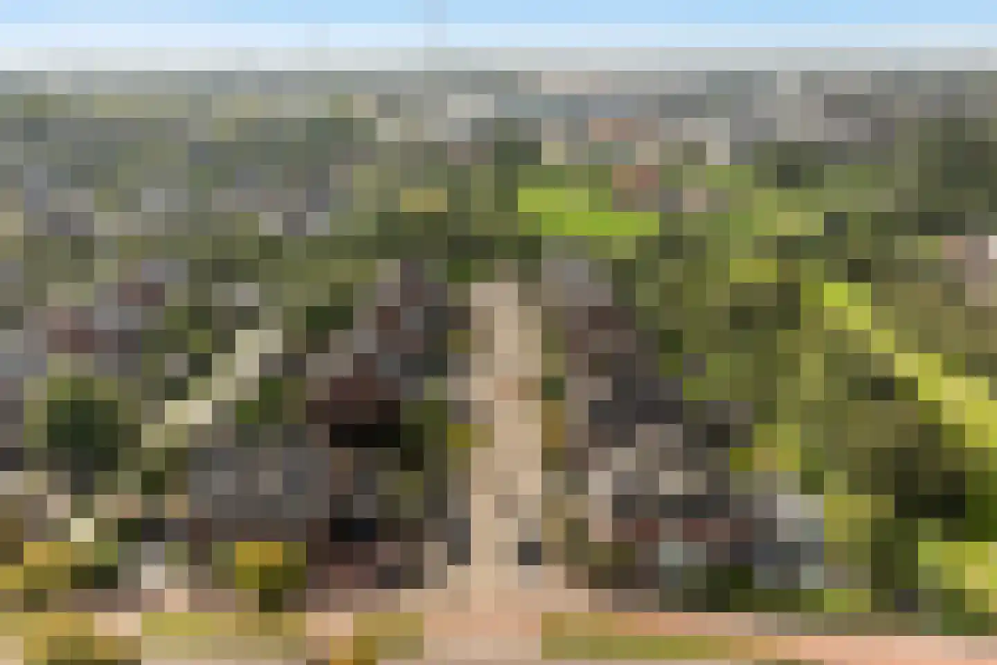 Griendwerker 3 Papendrecht thumbnail 92