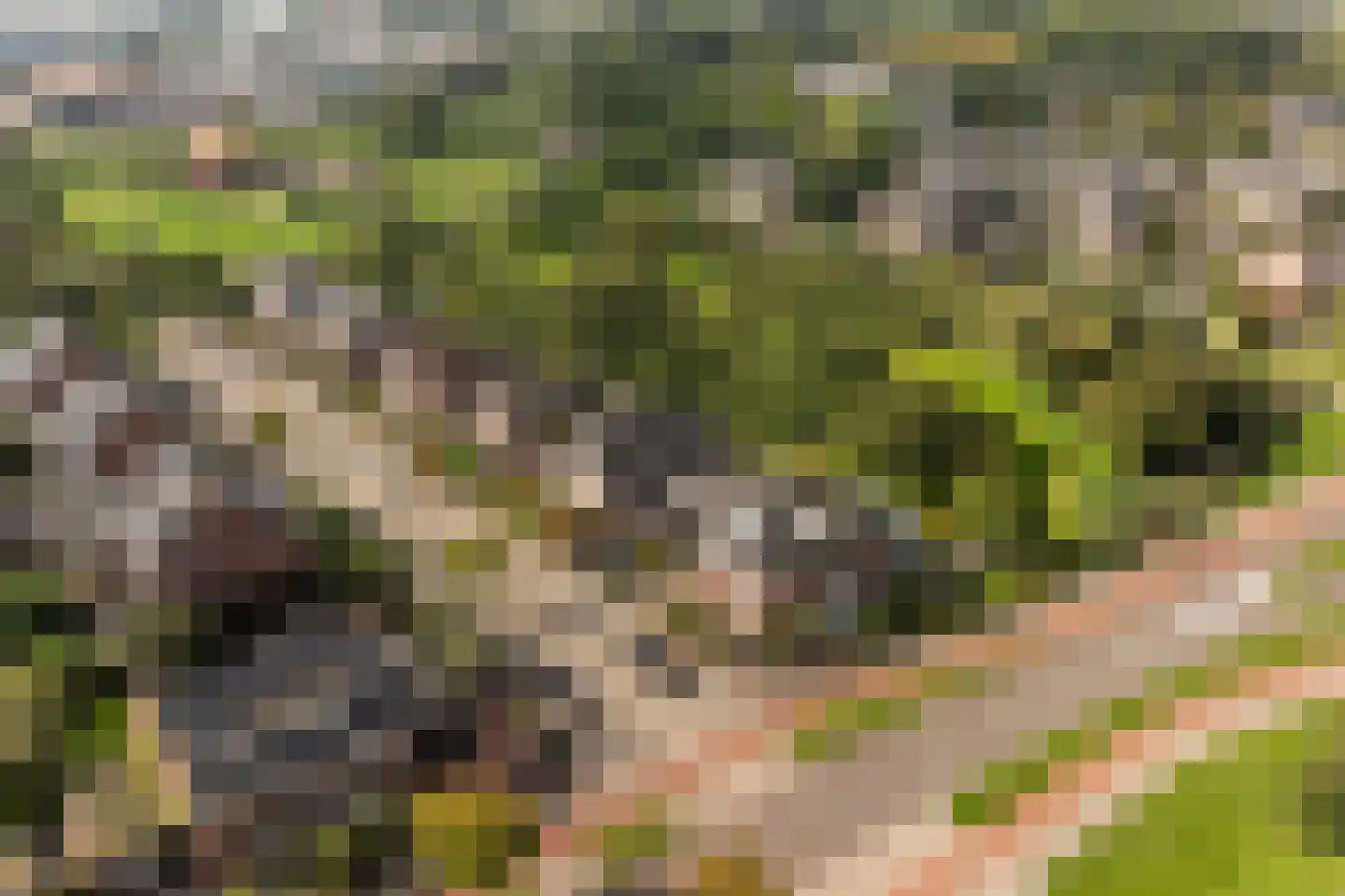 Griendwerker 3 Papendrecht thumbnail 93