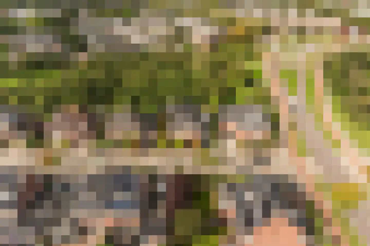 Griendwerker 3 Papendrecht thumbnail 94
