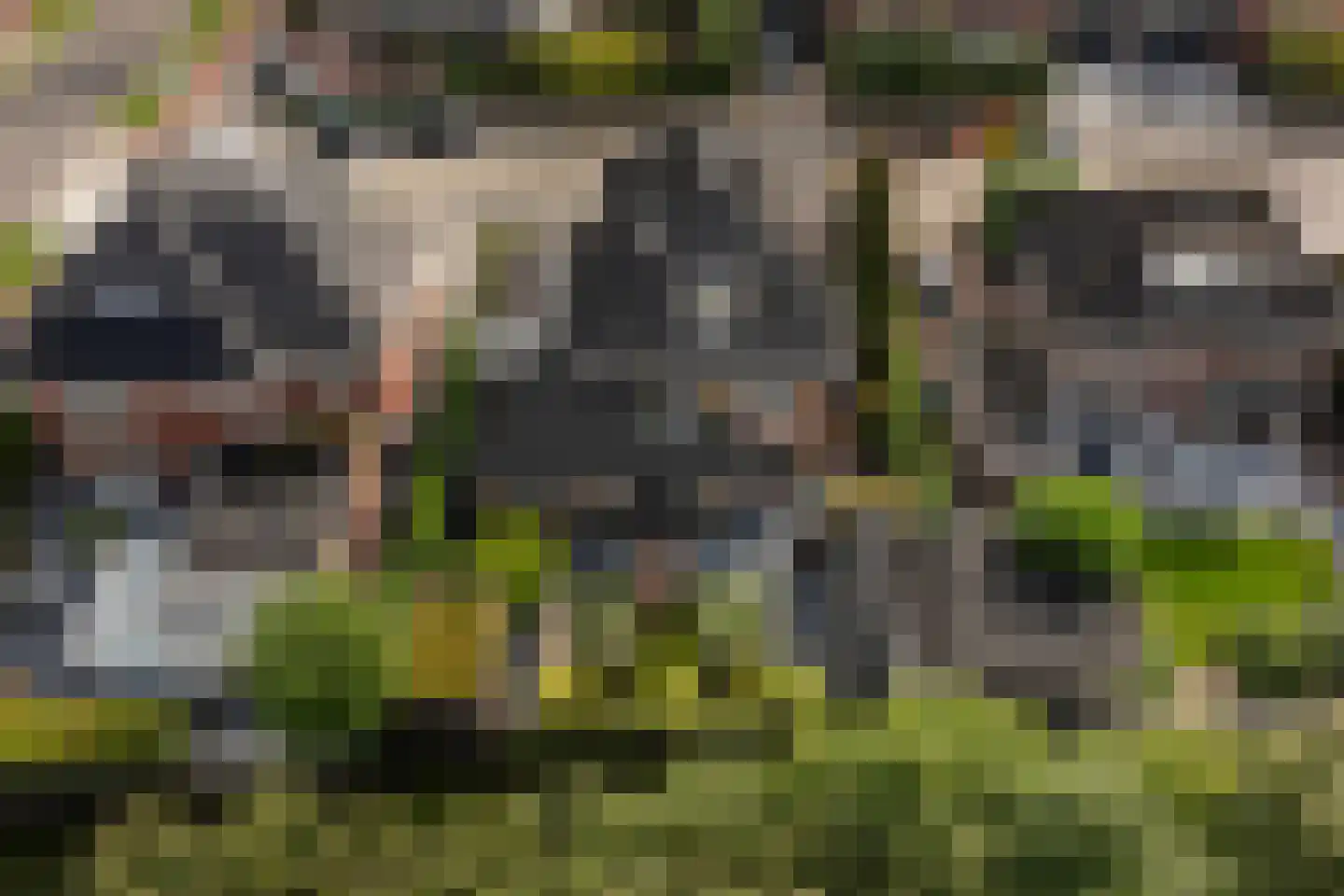 Griendwerker 3 Papendrecht thumbnail 95