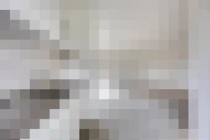 Griendwerker 34 Spijkenisse thumbnail 11