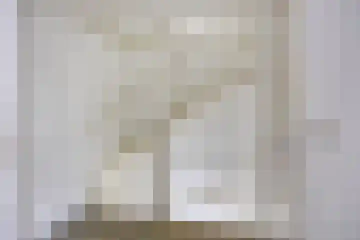 Griendwerker 34 Spijkenisse thumbnail 12