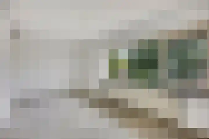 Griendwerker 34 Spijkenisse thumbnail 15
