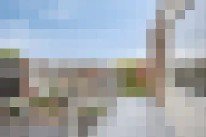 Griendwerker 34 Spijkenisse thumbnail 19