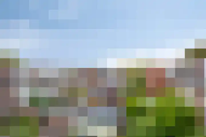 Griendwerker 34 Spijkenisse thumbnail 20