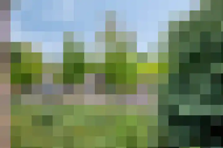 Griendwerker 34 Spijkenisse thumbnail 21